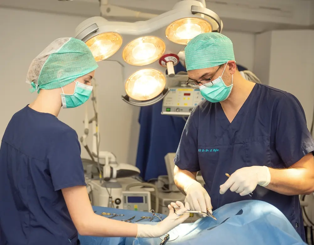 Operative Therapie Operative Therapie